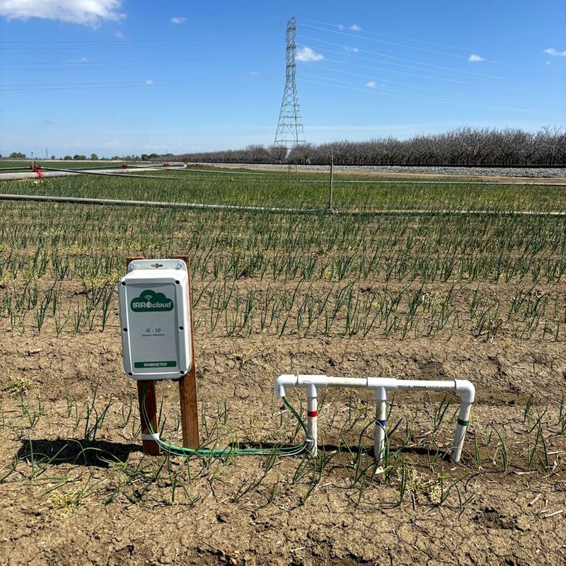 Soil Moisture Monitoring