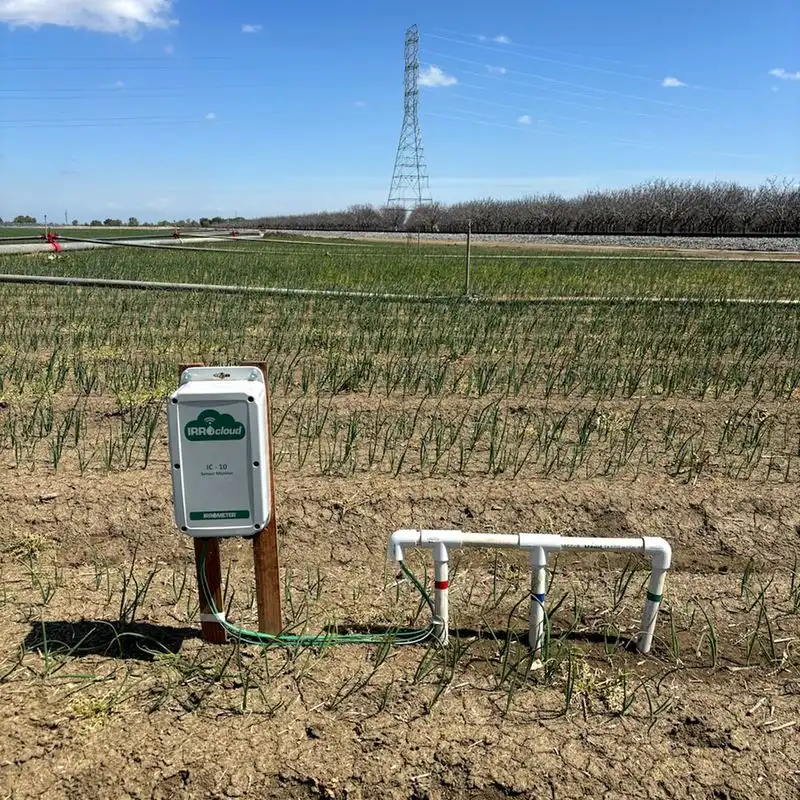 Soil Moisture Monitoring