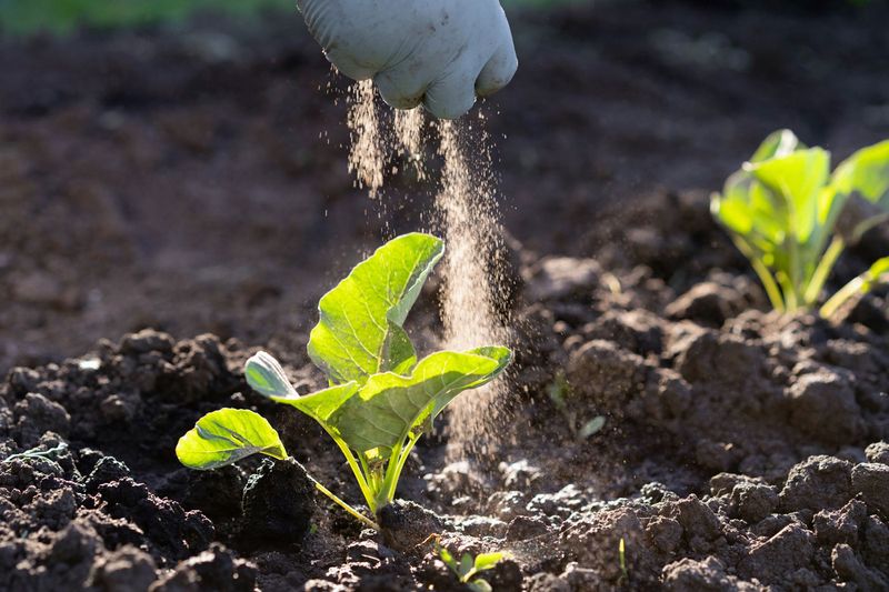 Soil Nutrient Management