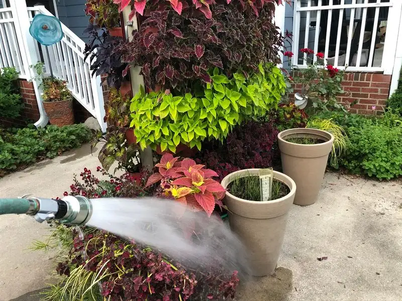 Optimal Watering