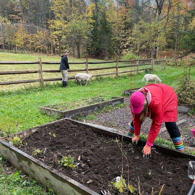 Soil Testing