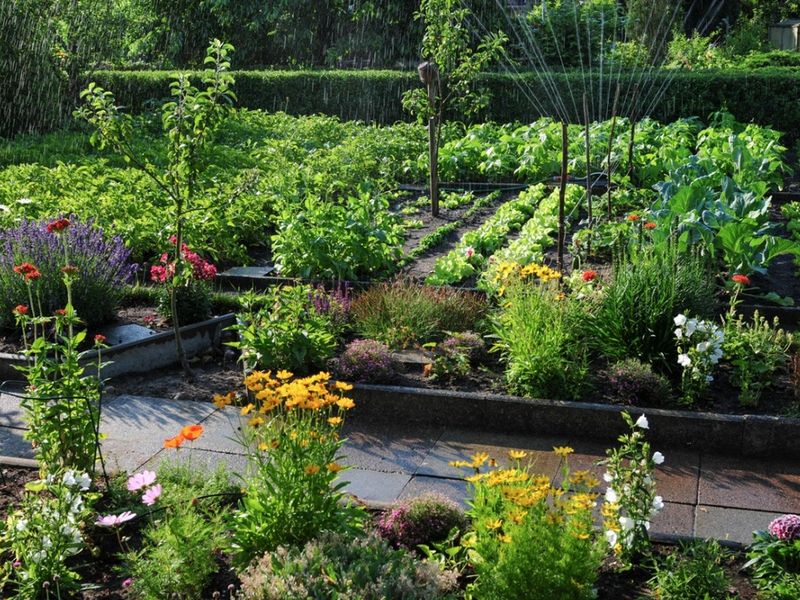 Encouraging Pollinators