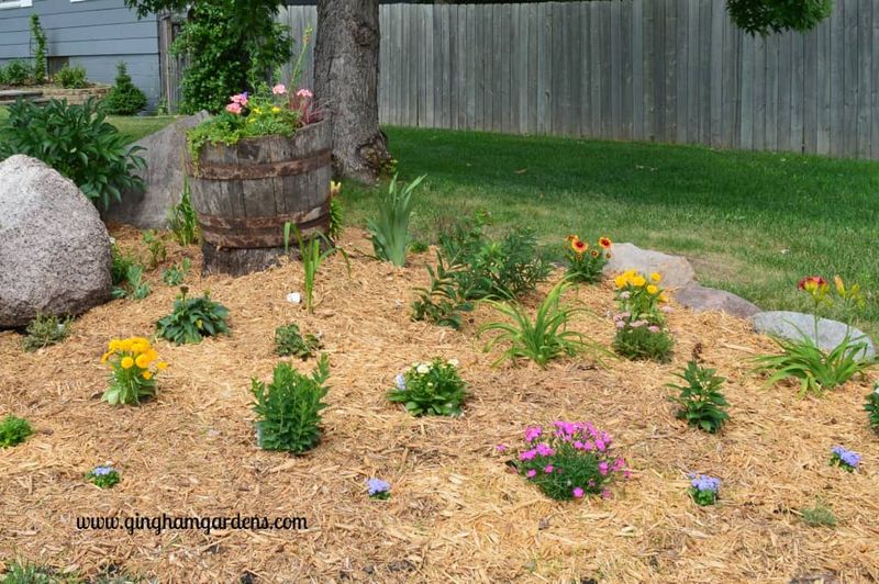 Sparse Planting