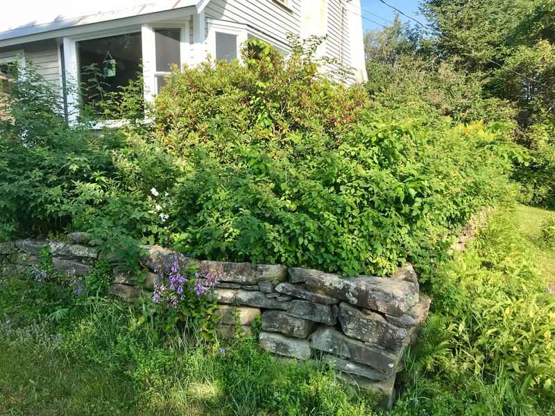 Overgrowth