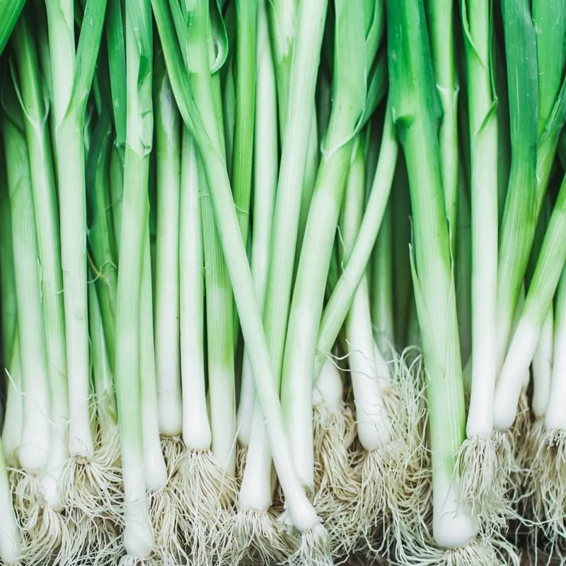Spring Onions