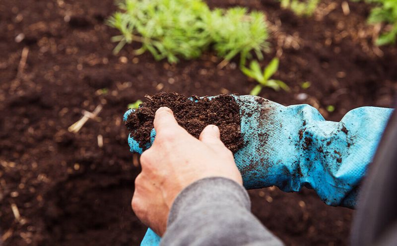 Spring Soil Preparation