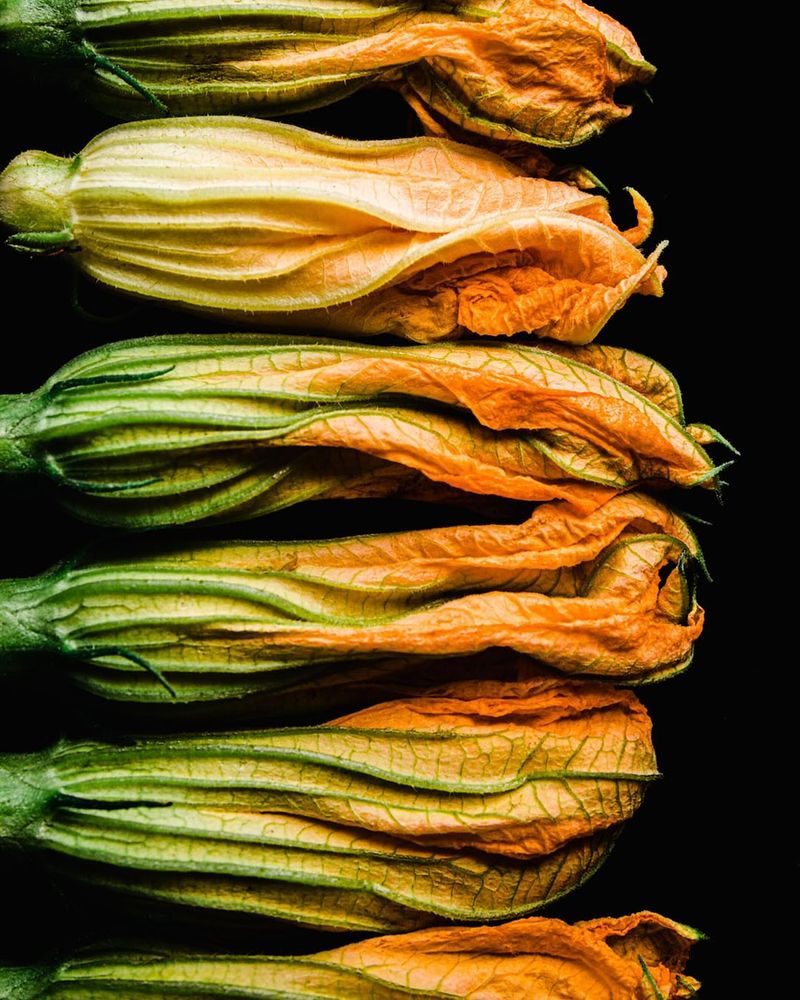 Squash Blossom