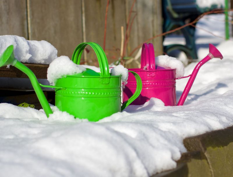 Overwatering in Winter