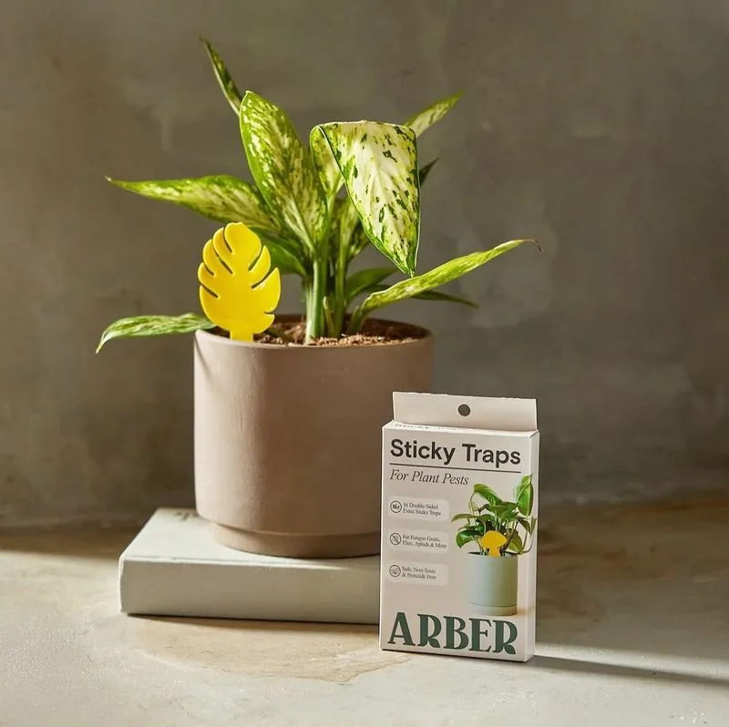 Sticky Traps