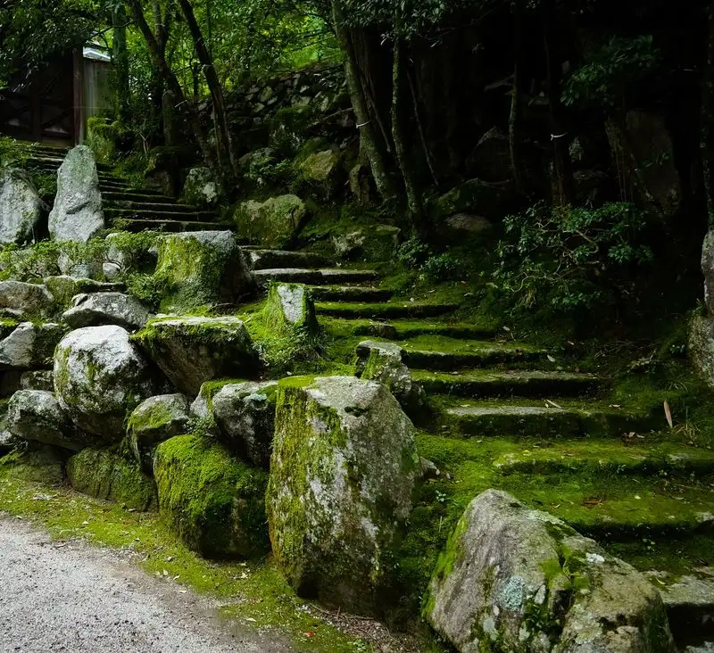 Stone Placement