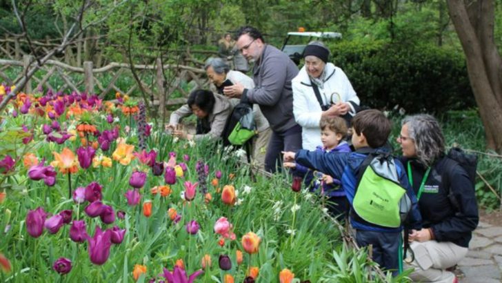 Stop Letting Your Garden Die With You—17 Ways to Pass Plant Wealth to Family