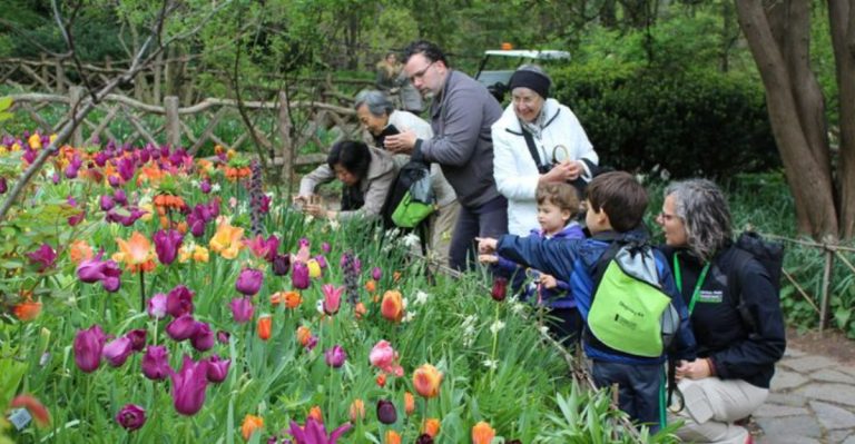 Stop Letting Your Garden Die With You—17 Ways to Pass Plant Wealth to Family