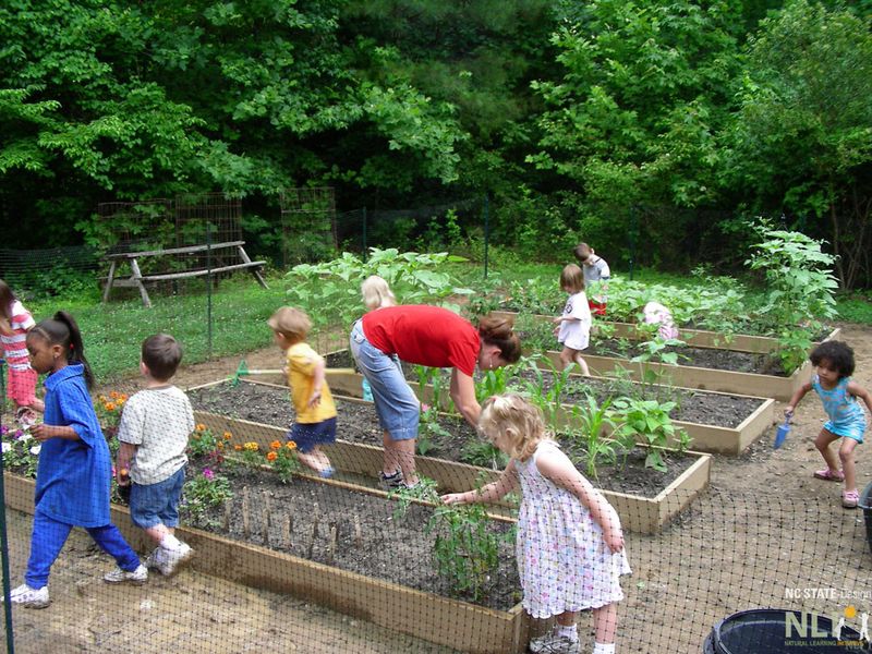 Vegetable Patch Playground