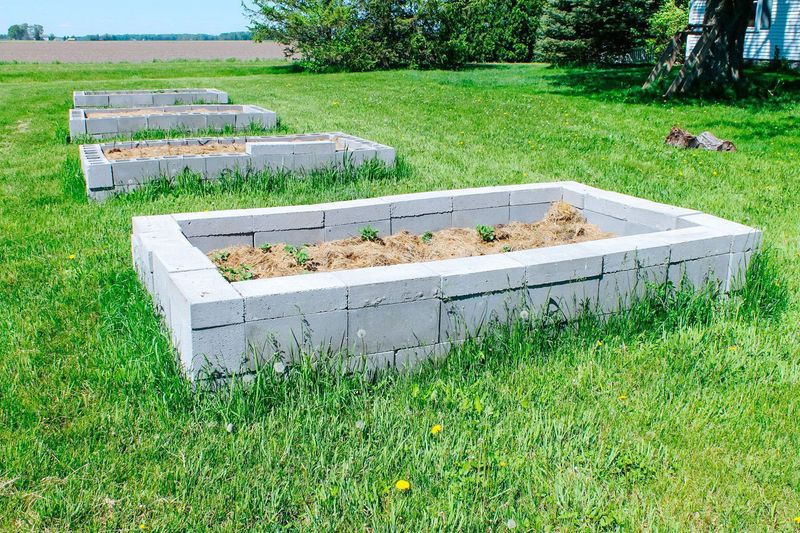 Cinder Block Planter