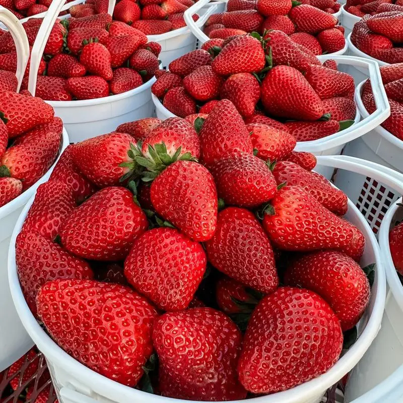 Strawberries