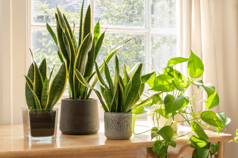 Air Quality Improvement