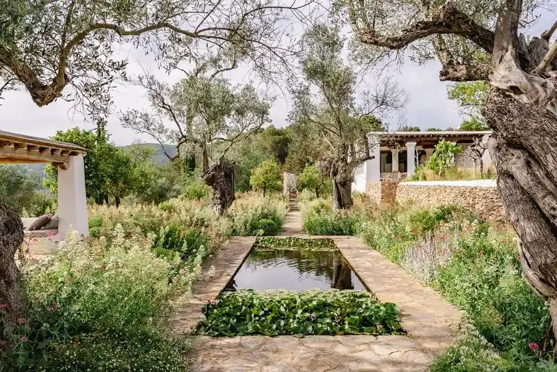 Mediterranean Garden