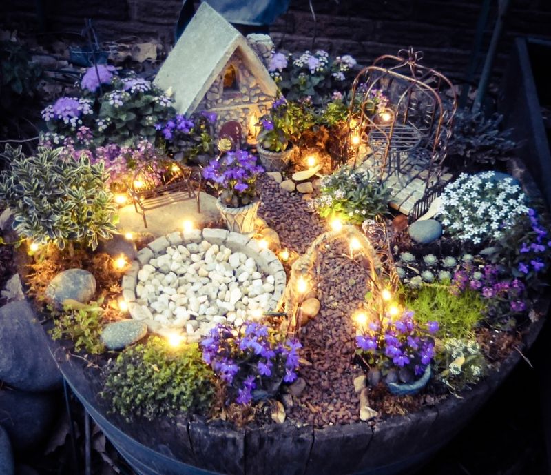 Fairy Tale Enchantment
