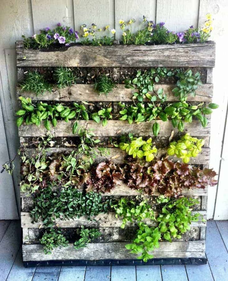 Suitcase Herb Garden