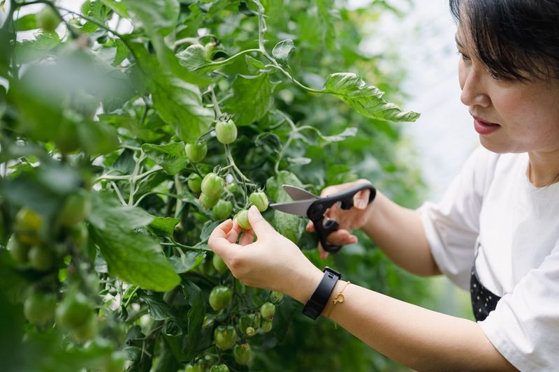 Pruning and Pinching
