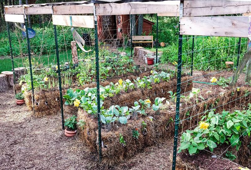 Support for Climbing Plants