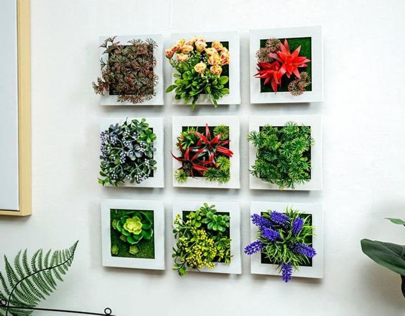 Wall-Mounted Plant Frames