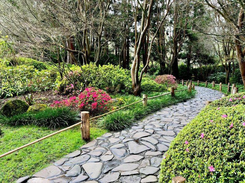 Tea Garden Pathways