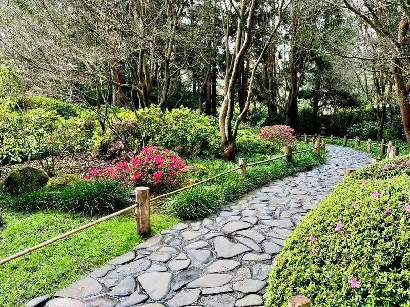 Tea Garden Pathways
