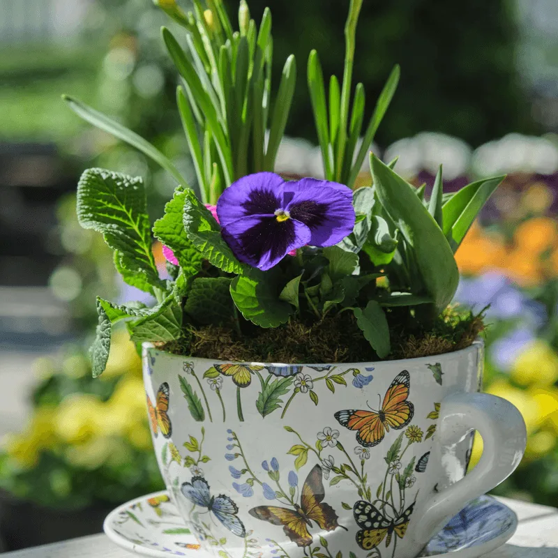 Teapot Planters
