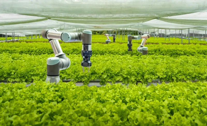 The Autonomous Ecosystem