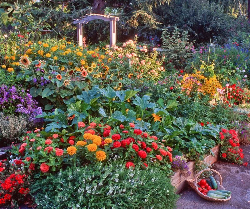 The Appeal of Edible Landscaping
