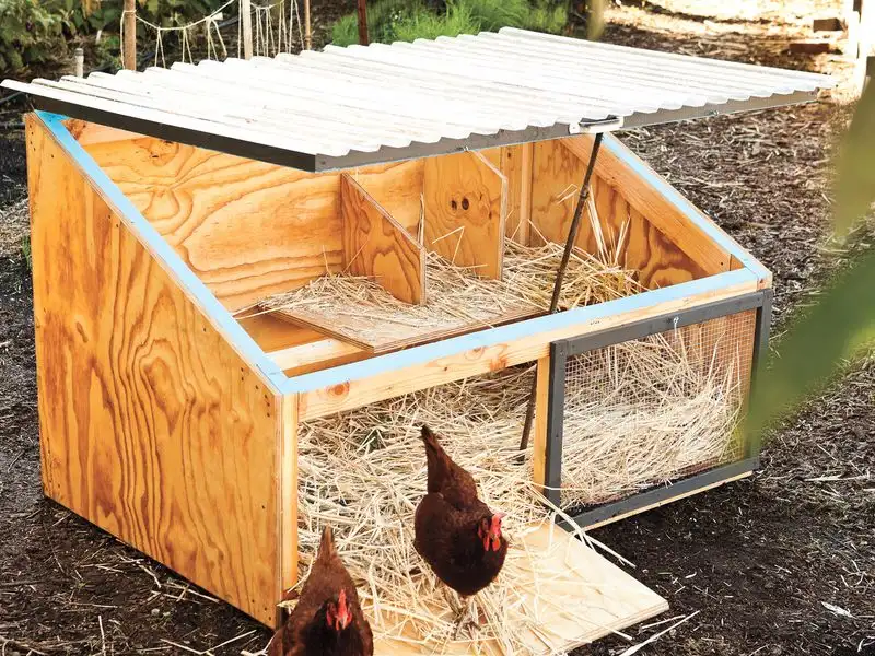 The Chicken Coop Project