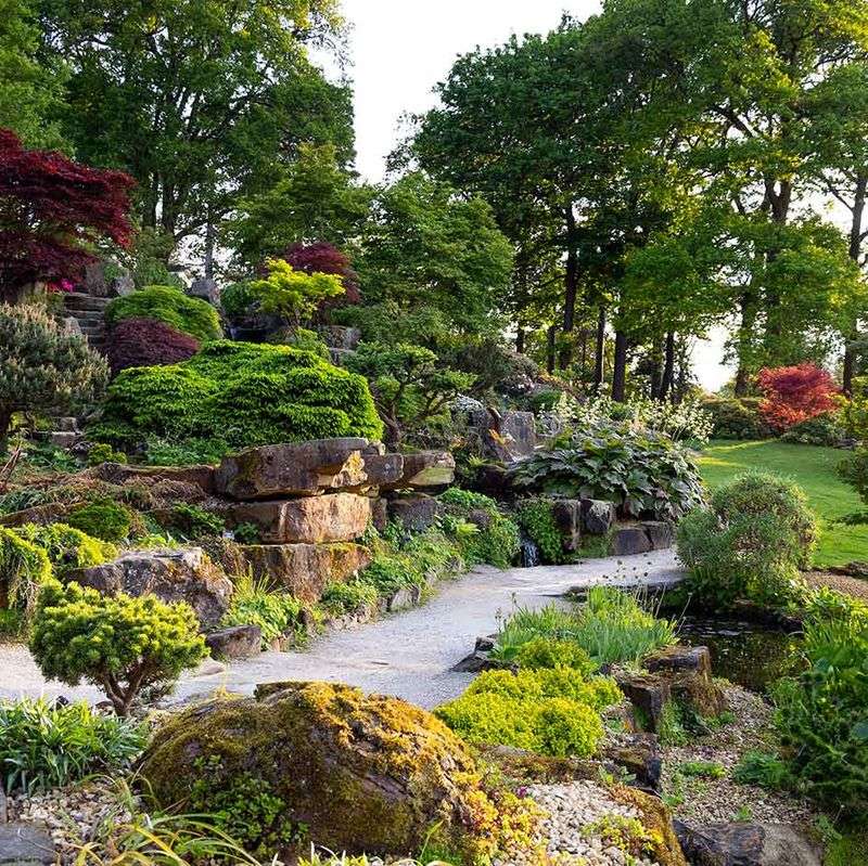 Captivation with Rock Gardens