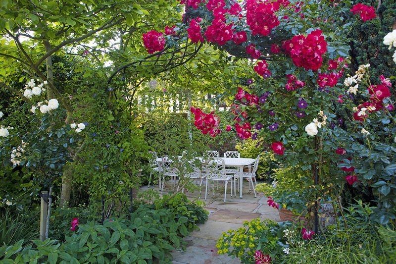 The Dream of Scented Gardens