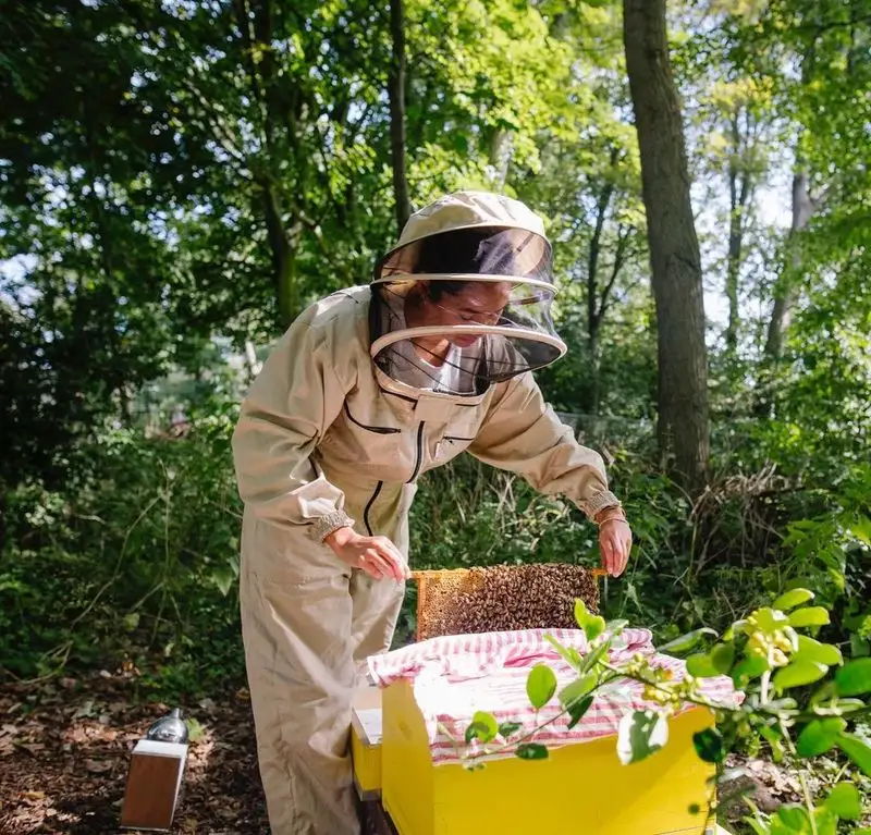 The Joy of Beekeeping