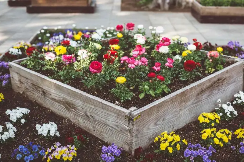The Ornamental Flower Beds