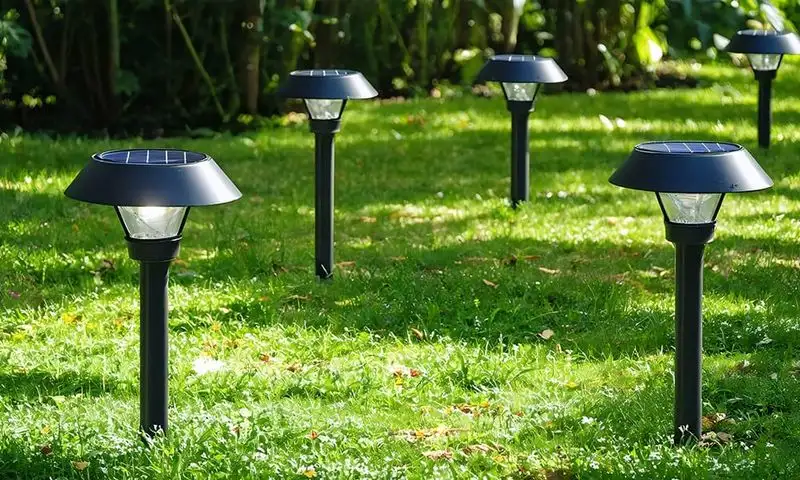 The Allure of Solar-Powered Garden Lights