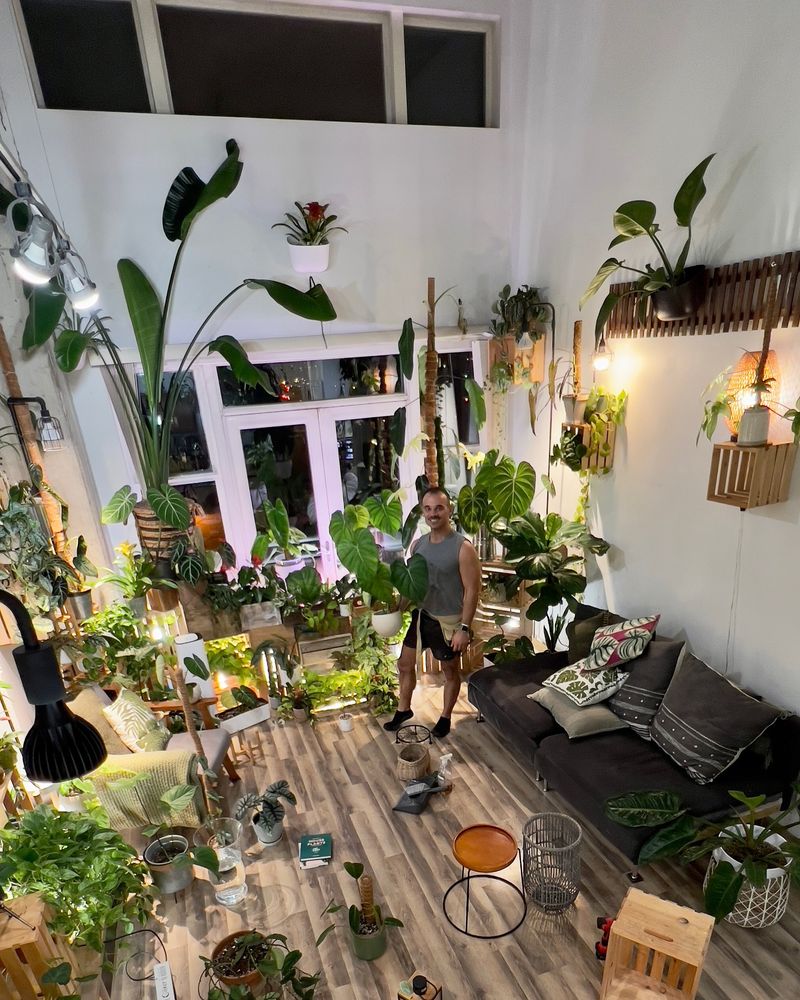 Intricacies of Indoor Jungle Rooms