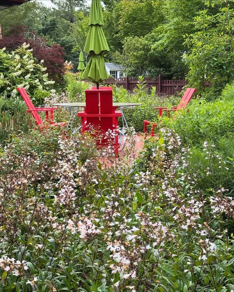 The Versatile Red Osier