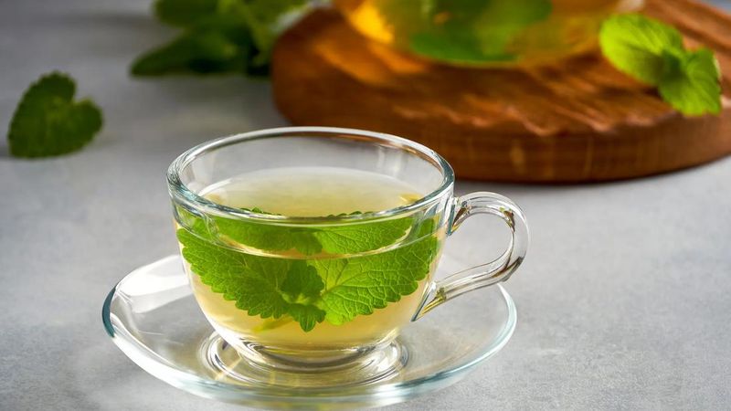 Lemon Balm