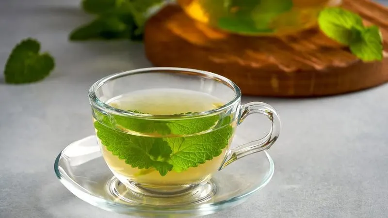 Lemon Balm