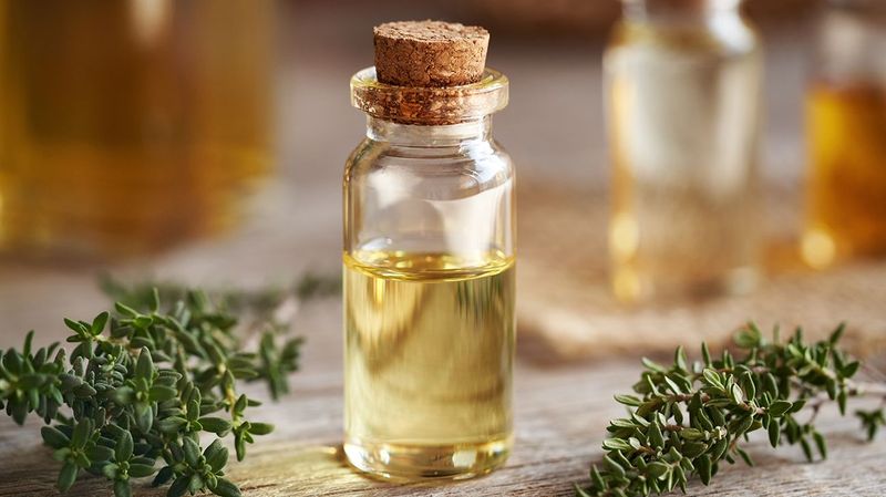 Thyme Essential Oil and Aromatherapy