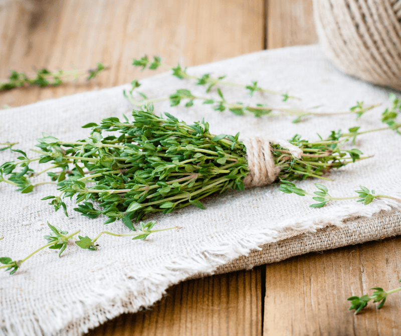 Thyme Tea and Its Benefits