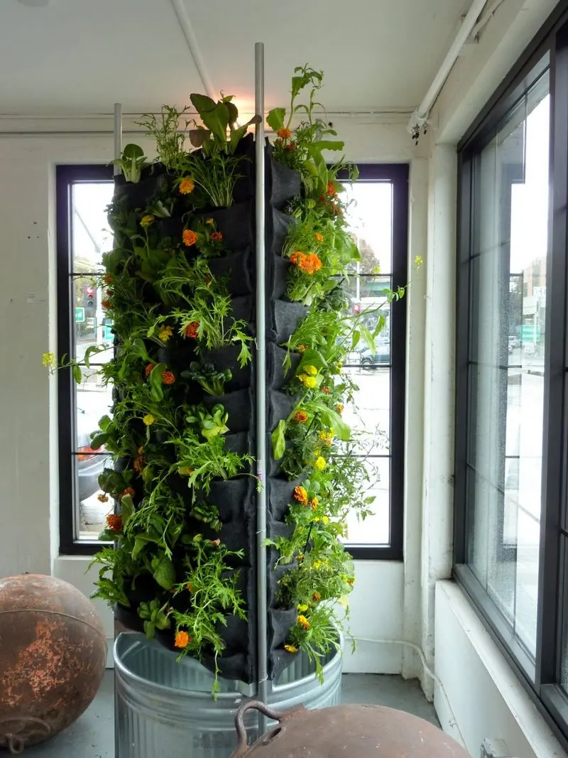Aquaponic Tower Garden