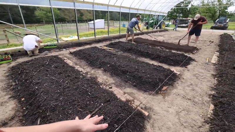 Till-Free Gardening