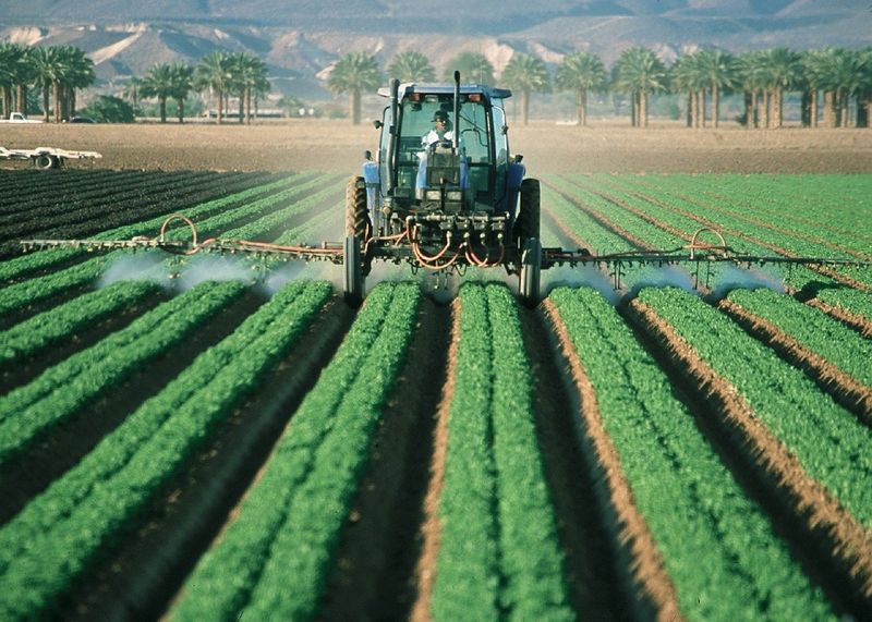 Timely Harvesting Practices
