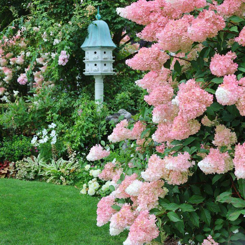 Creates a Romantic Atmosphere