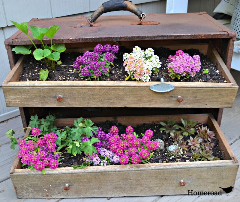 Toolbox Gardens