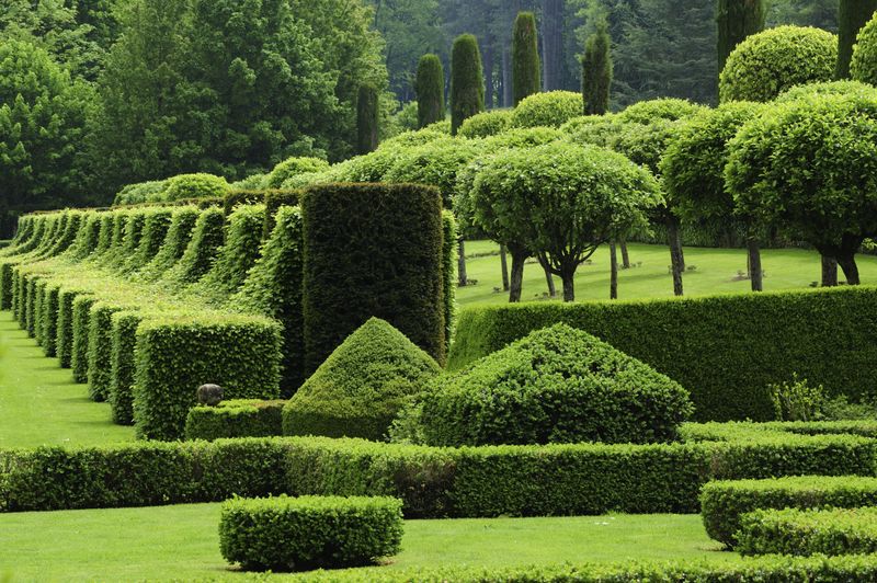 Topiary