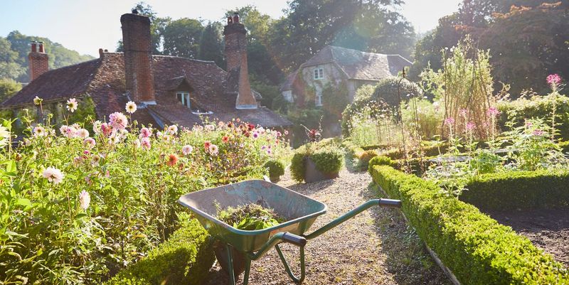 Lush English Cottage Garden